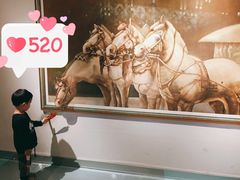 -成都泰迪熊博物馆