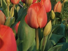 -玄武湖景区-情侣园游乐场