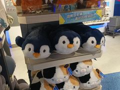 -香港海洋公园