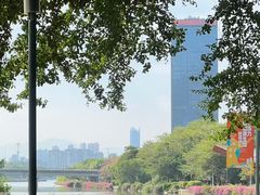 -光明港公园