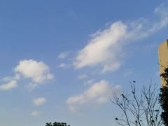 -ALPS阿尔卑斯眼镜(我格广场店)