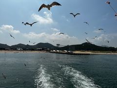 -海驴岛(荣成市)