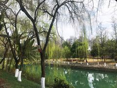 -沙河三洞古桥公园