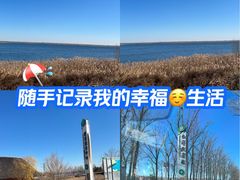 -白洋淀景区