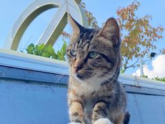 -UNIUNI(凯瑟琳广场店)