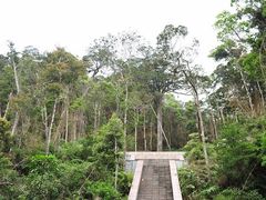 -海南热带雨林国家公园吊罗山景区