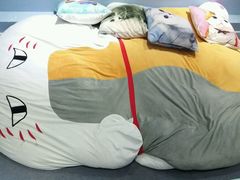 -喵的天空名猫咖啡馆·撸猫·猫舍·用品