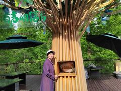 -黄海国家森林公园