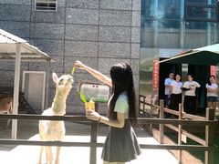 -台州海洋世界