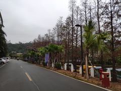-江门古兜温泉小镇