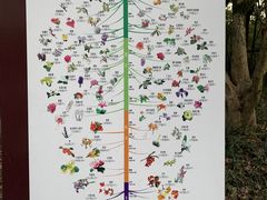 -杭州植物园