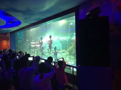 -大明湖海底世界