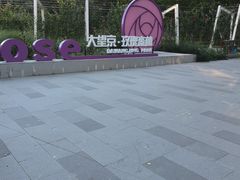 -大望京公园