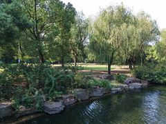 -上海滨江森林公园