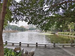 -荔湾湖公园