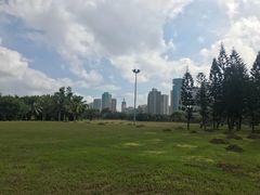-万绿园