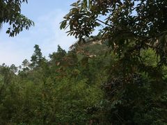 -江门古兜温泉小镇