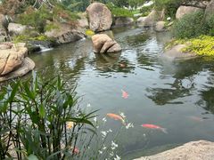 -罗红摄影艺术馆