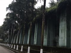 -重庆海昌加勒比海水世界
