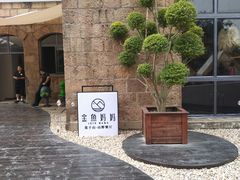 -金鱼妈妈 山野·食趣(荫山街店)