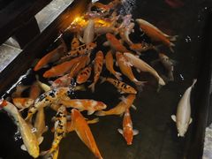 -唐山宴百姓府邸院落中餐