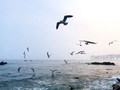 -银沙滩浴场