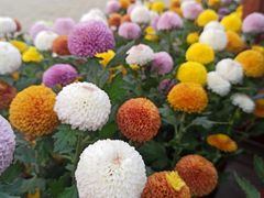 -共青国家森林公园-售票处