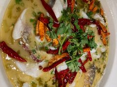 酸菜鱼-渔见·精品川菜·老坛酸菜鱼(大朗店)