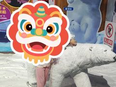 -合肥海洋世界
