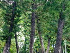 -人民公园(罗湖区)