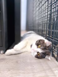 -塞巴斯汀SEBASTIAN专业美发店