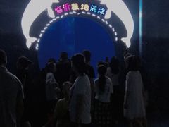 -临沂极地海洋王国
