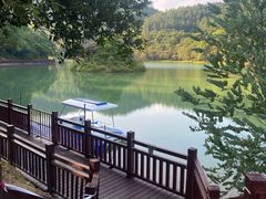 -广州白江湖森林公园