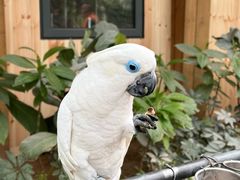 -南宫五洲植物乐园