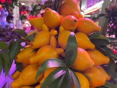 -花鸟鱼虫鲜花绿植市场(玉泉路店)