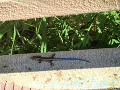 -天津盘山风景名胜区