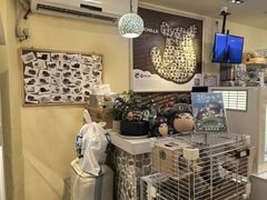 -龙猫仔乐园(惠福东路店)