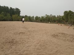 -东郊湿地公园