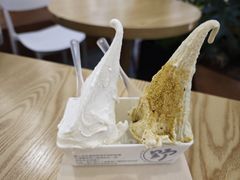 -野人先生Gelato(上海长宁龙之梦店)