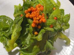 -田园北魏家宴·大同菜(御东店)