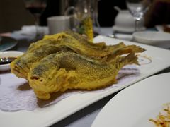 黄鱼-御花园·粤菜·海鲜火锅(中山公园店)