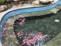 -宁海森林温泉