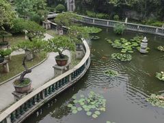 -碧江金楼