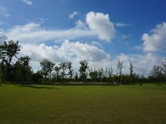 -上海长兴岛郊野公园