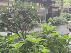 -大妙火锅·非物质文化遗产(东湖公园店)