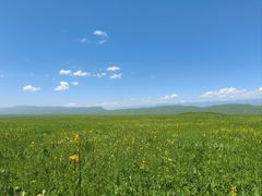 -新疆那拉提国家旅游度假区