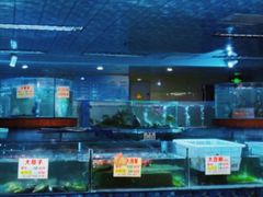 -金龙渔港(双楠店)