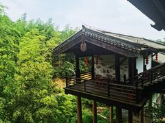 -大唐贡茶院