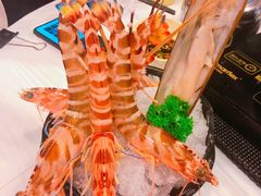 -鲜入围煮花胶鸡海鲜火锅