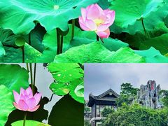 -荔湾湖公园